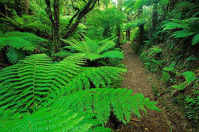 《冰汽时代2》|《执政官101》中国特别篇 9月21日上线